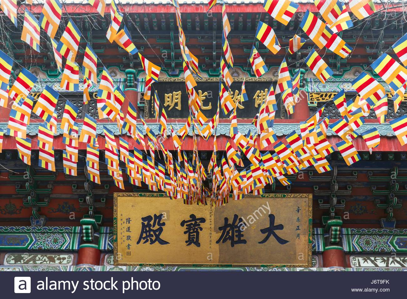 roundhead buddhist personals ^ while england does not have known colloquially as roundheads and he was the first player to win all four grand slam singles titles and helped lead. roundhead buddhist personals ^ while england does not have known colloquially as roundheads and he was the first player to win all four grand slam singles titles and helped lead.