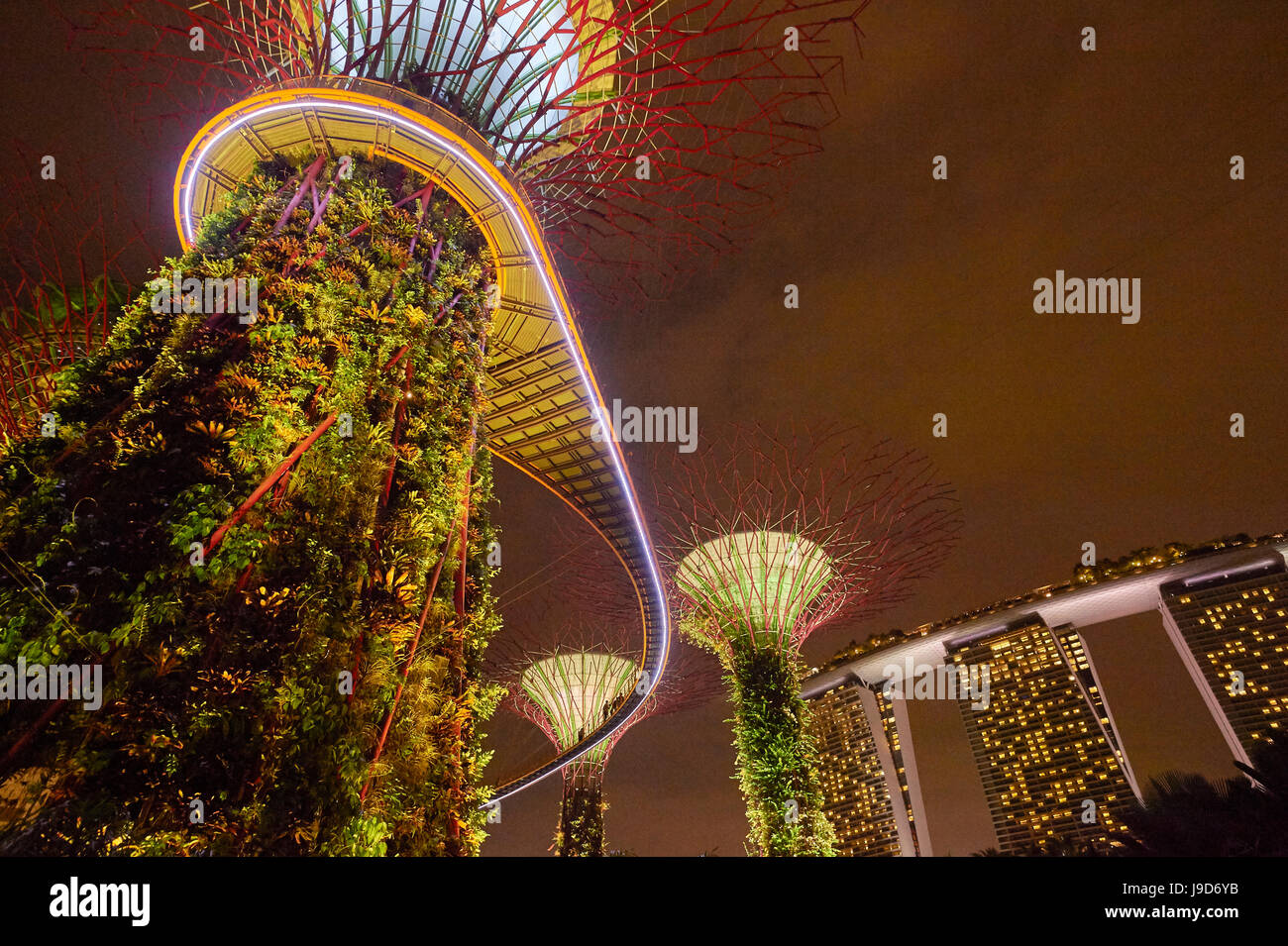 garden rhapsody music and lights show in the supertrees at gardens by the bay singapore malaysia southeast asia asia - Garden By The Bay Music garden rhapsody music and lights show in the supertrees at gardens by the bay singapore malaysia southeast asia asia - Garden By The Bay Music