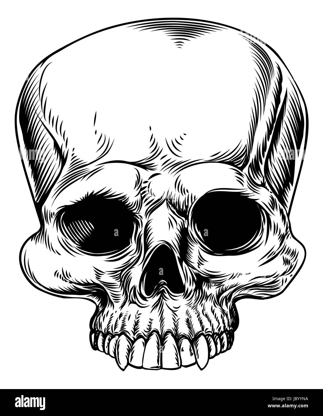 a drawing of a human skull in a etched woodcut style
