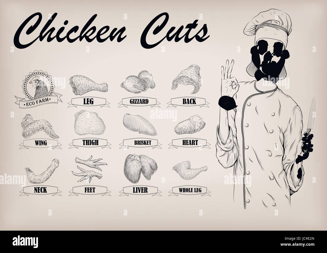 Chicken hen cutting meat scheme parts brisket, neck, wing ...