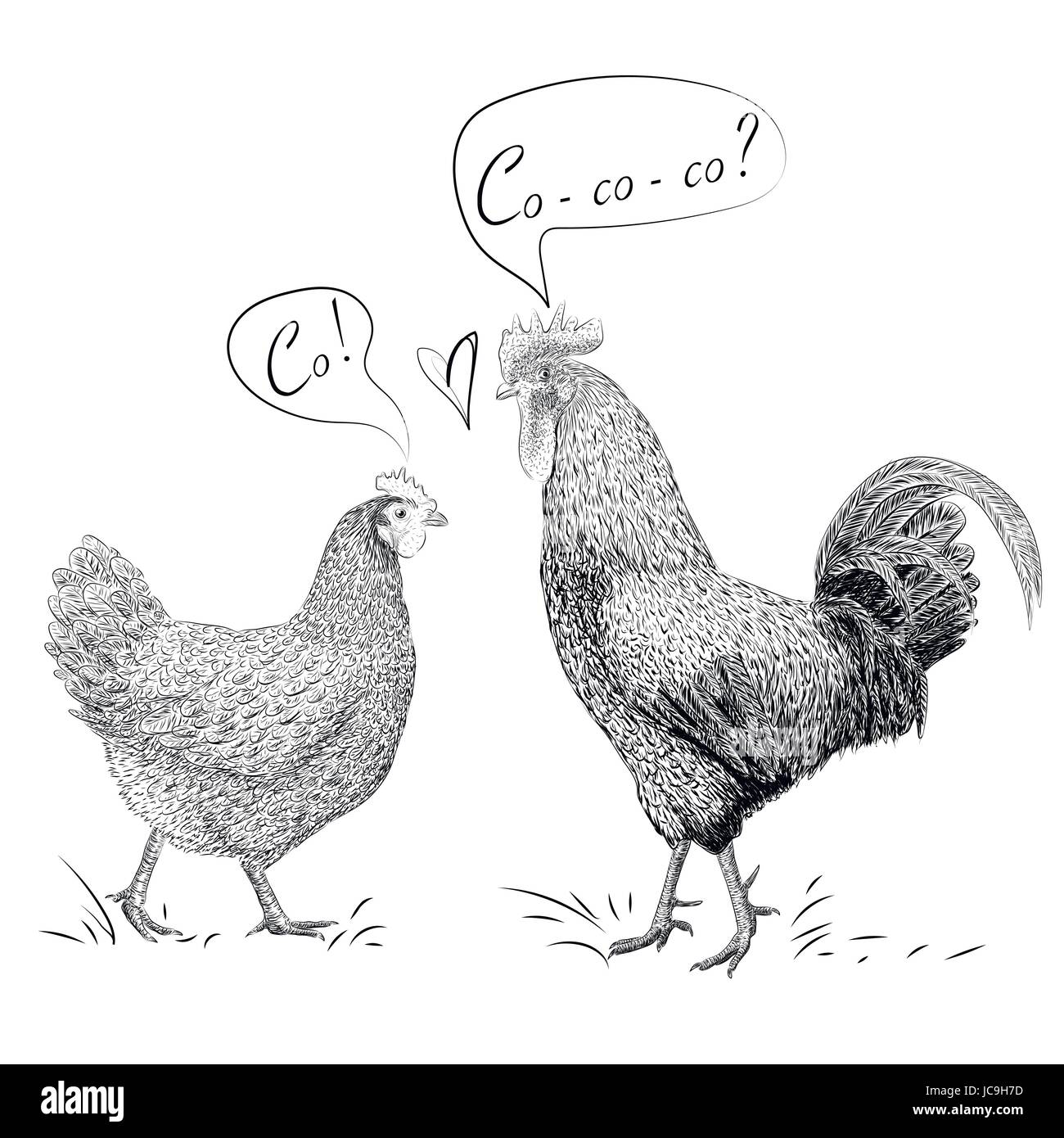 American Adult Magazines Loce The Cock