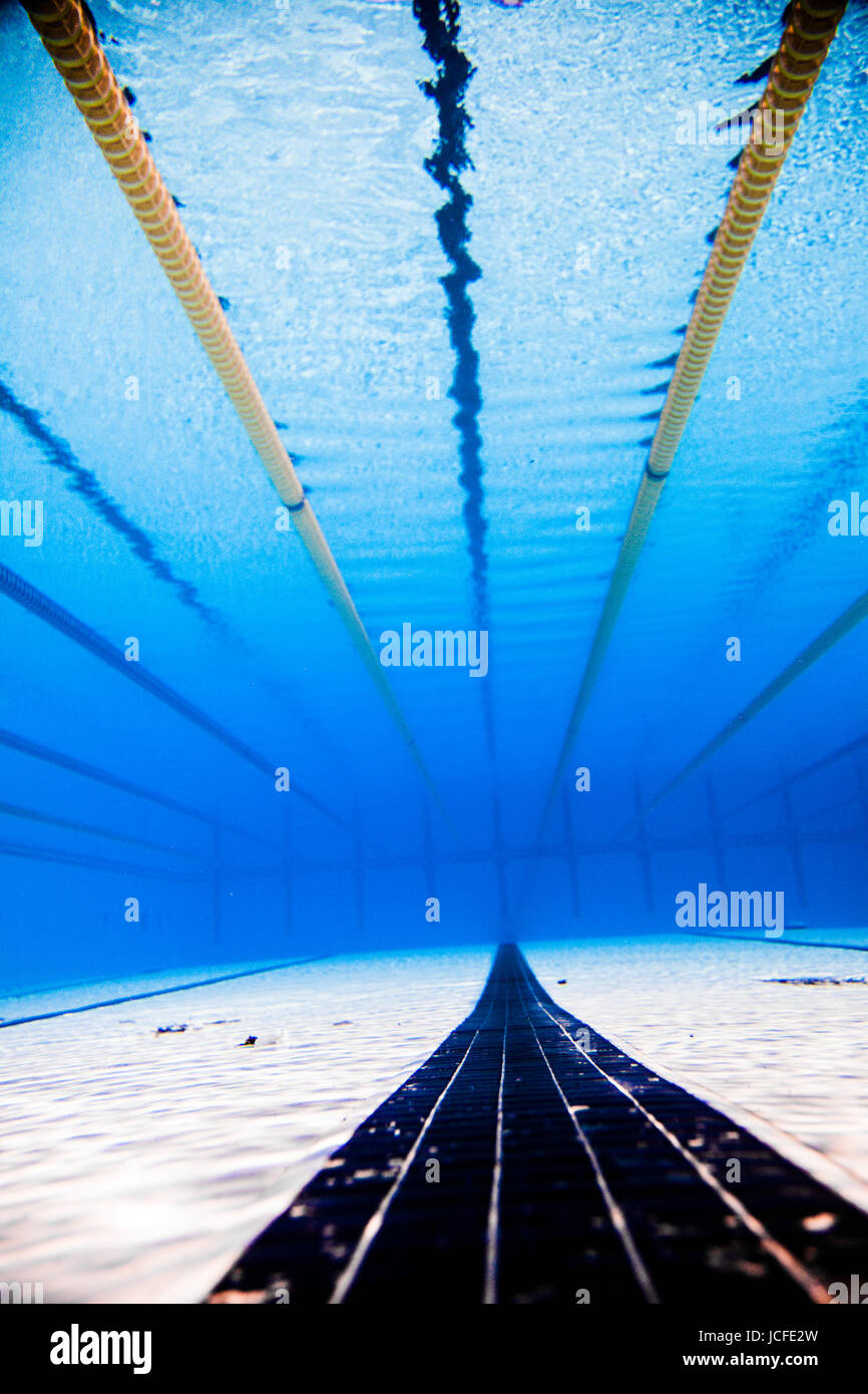 Olympic Swimming Pool Underwater empty 50m olympic outdoor pool and dividing lines from underwater Olympic Swimming Pool Underwater empty 50m olympic outdoor pool and dividing lines from underwater