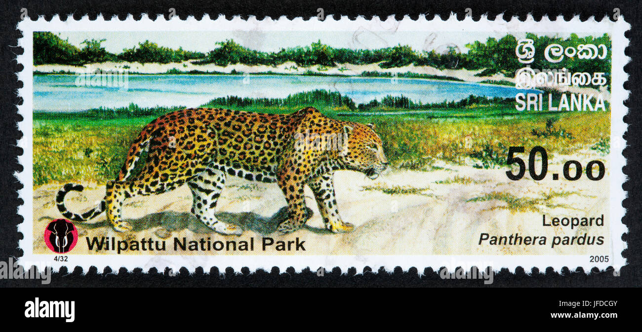 Sri Lanka postage stamp Stock Photo, Royalty Free Image 147198043 Alamy