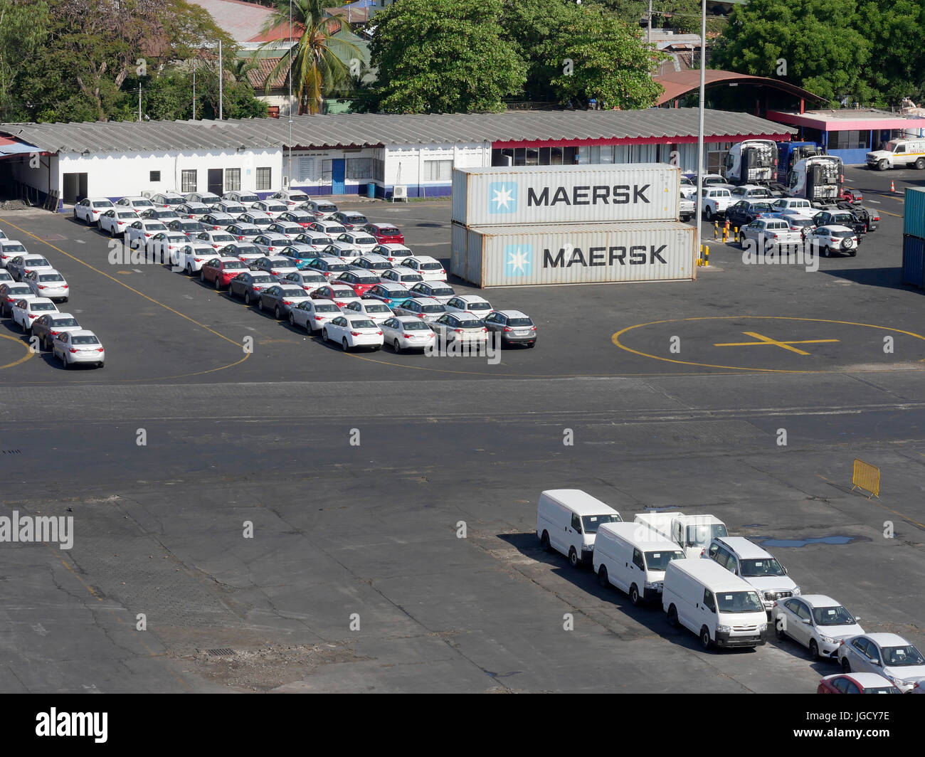 vans corinto vans corinto