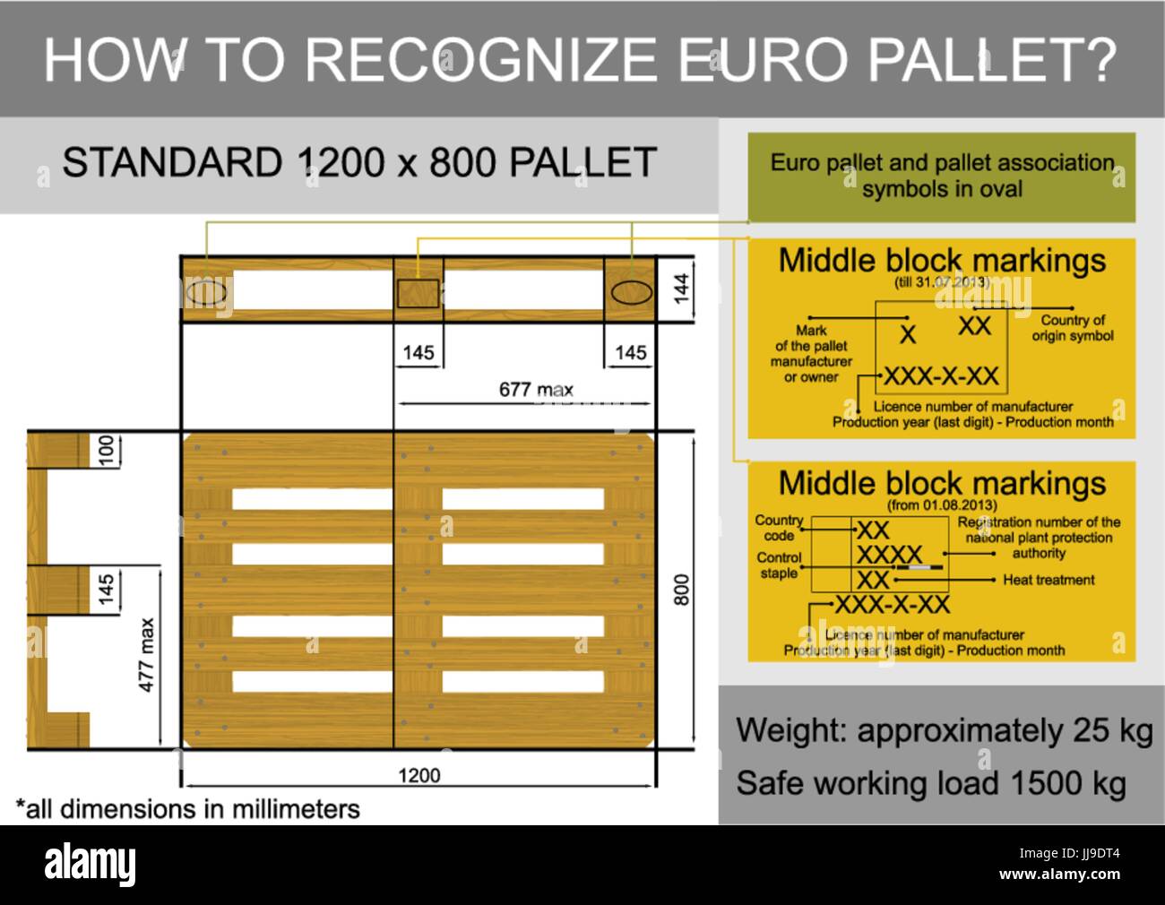 plan-view-with-dimensions-of-a-euro-pallet-flat-vector-stock-vector