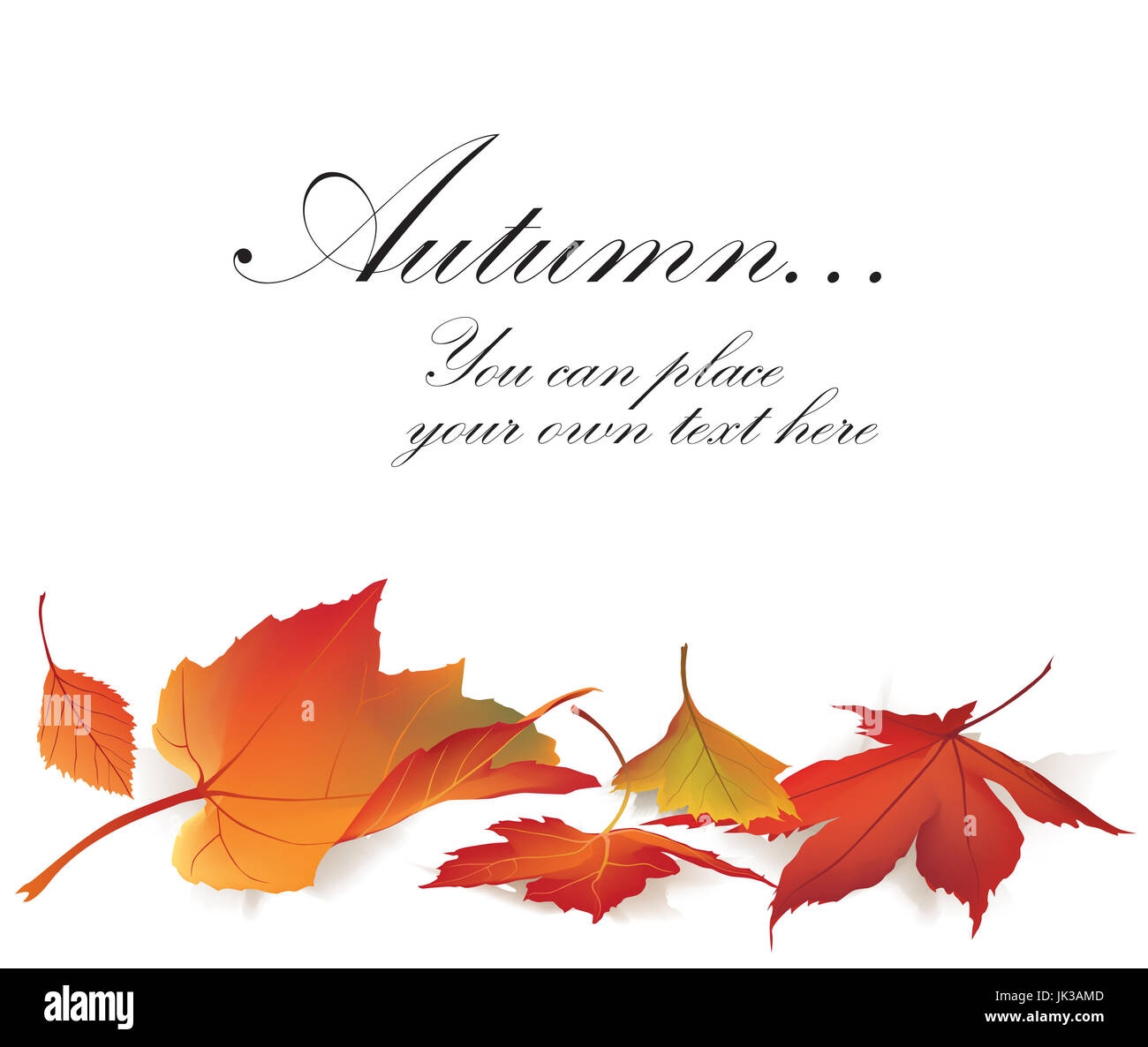 Fall Leaf Nature Banner Autumn Leaves Background Season Floral