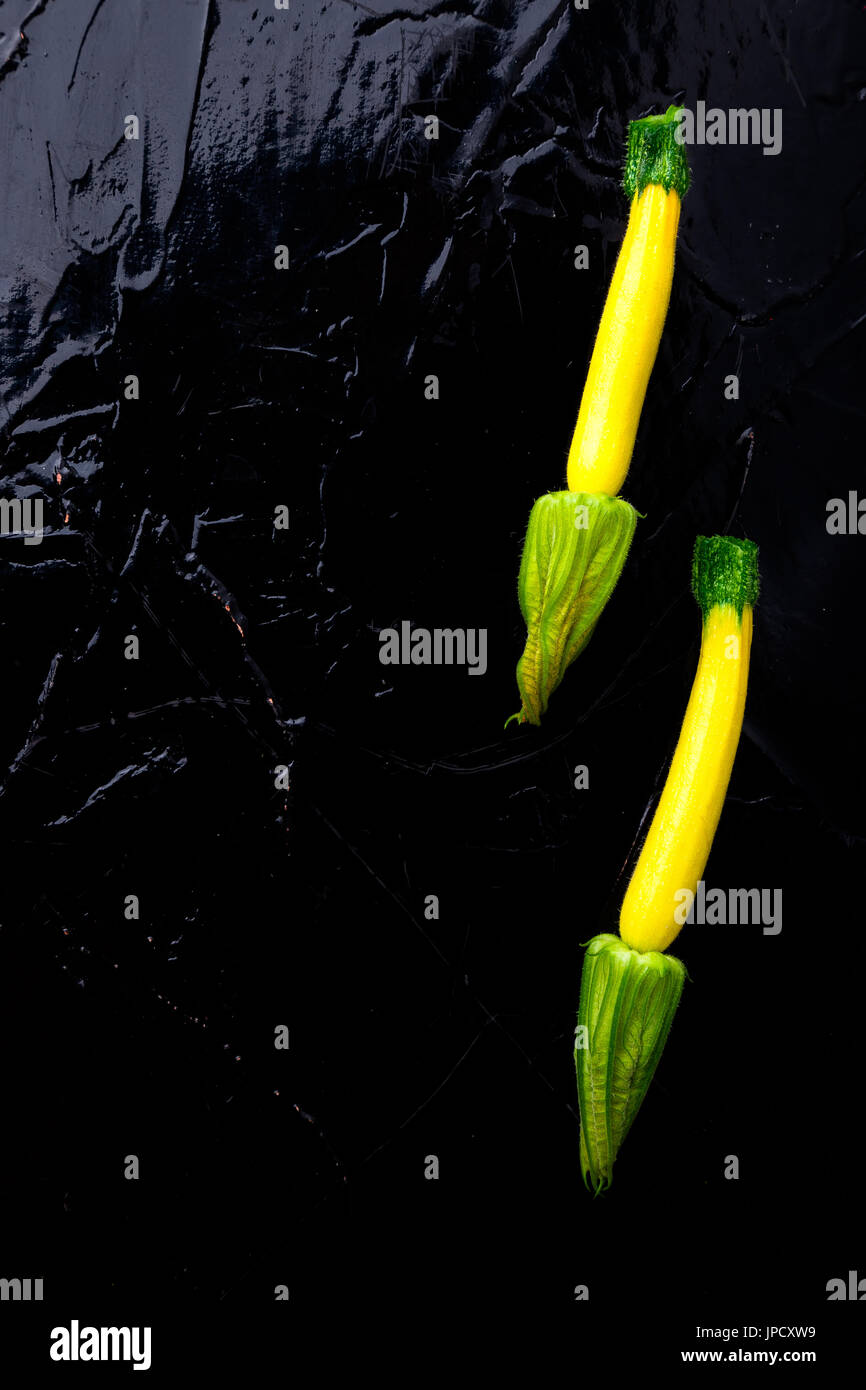 Yellow small zucchinis with flower on black background. Top view ... Yellow small zucchinis with flower on black background. Top view ...