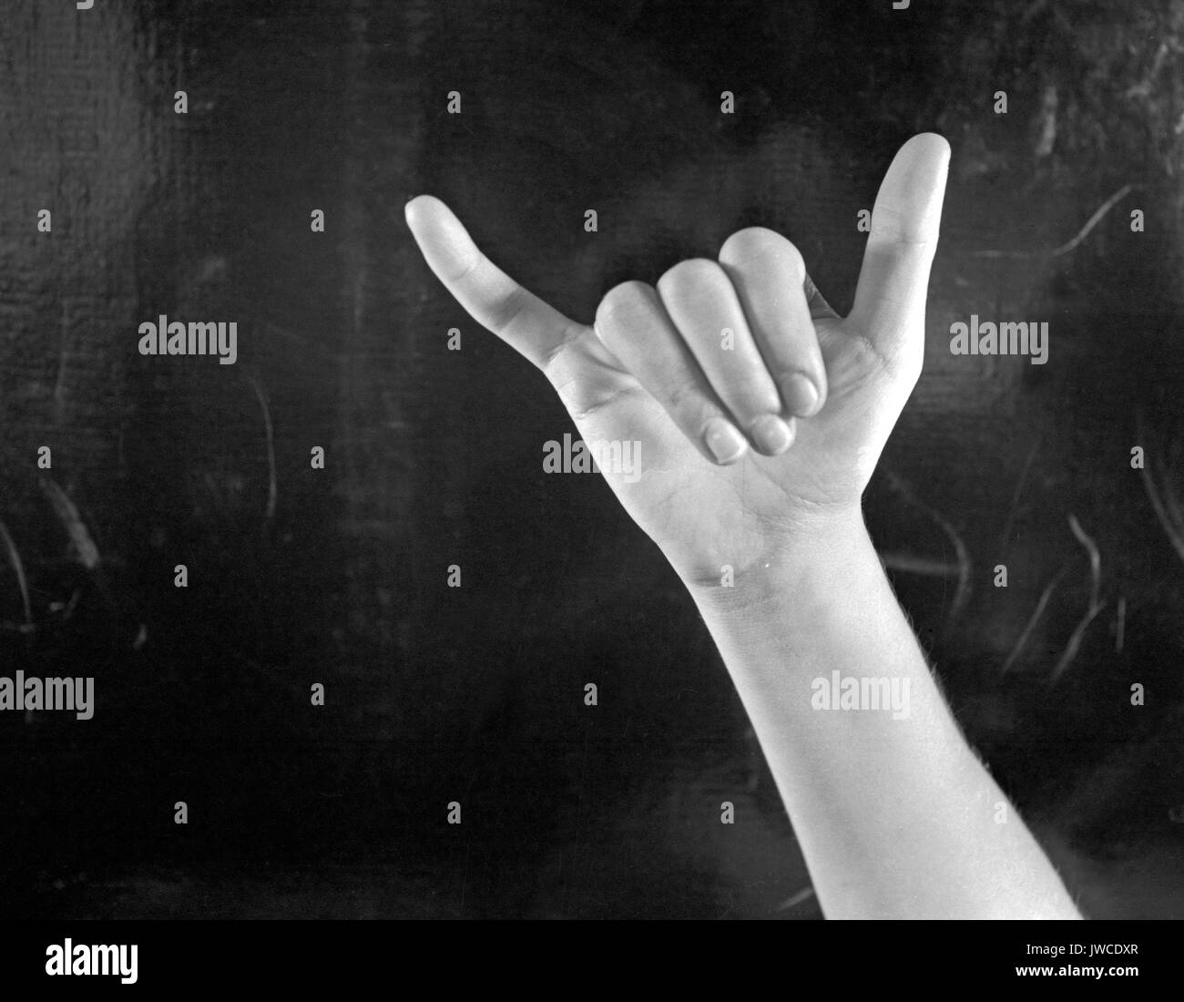 letter y photography