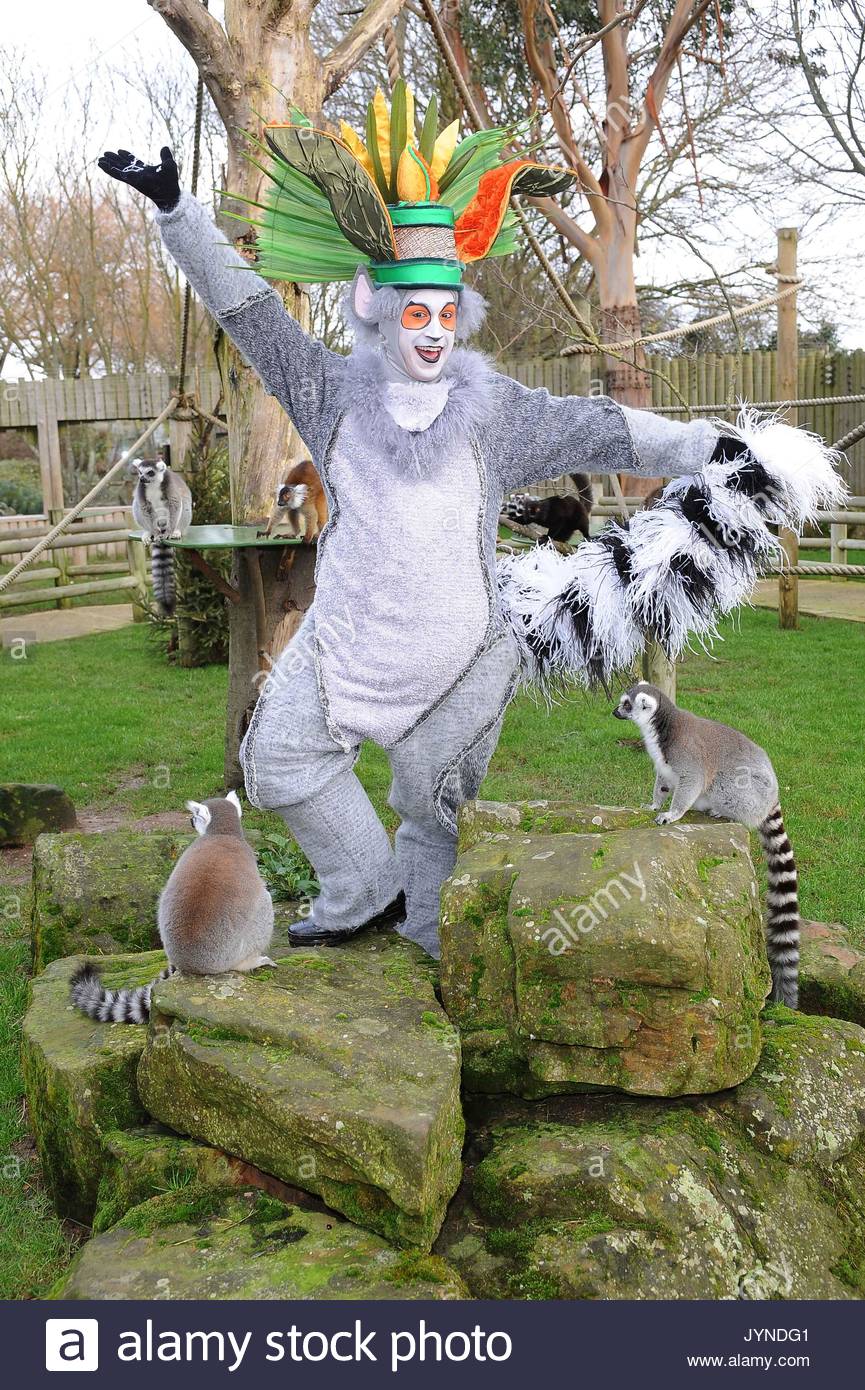 King Julien, Lord of the Lemurs. King Julien, Lord of the Lemurs from