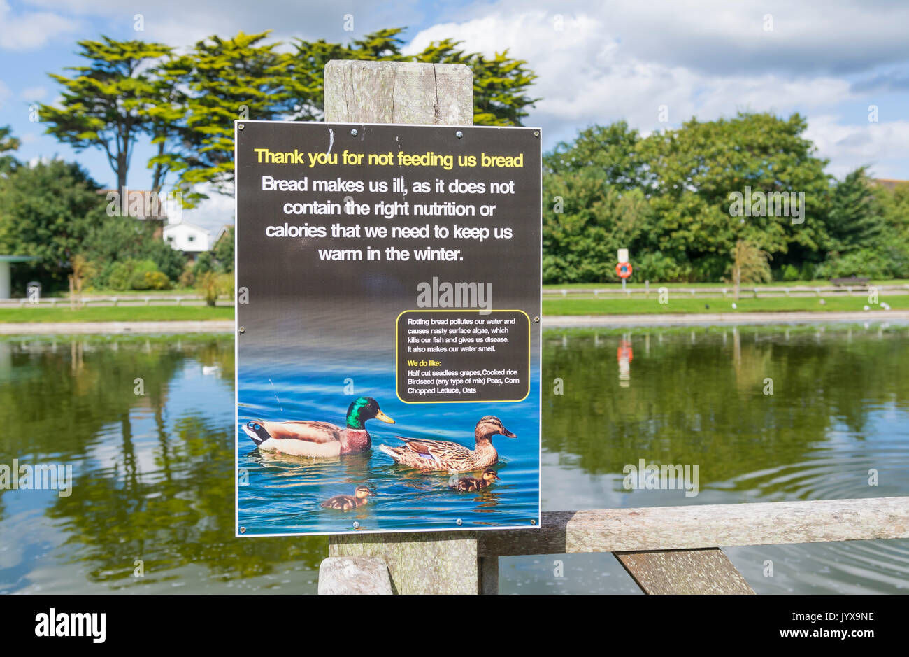 Sign at a lake asking people not to feed bread to ducks, as it makes