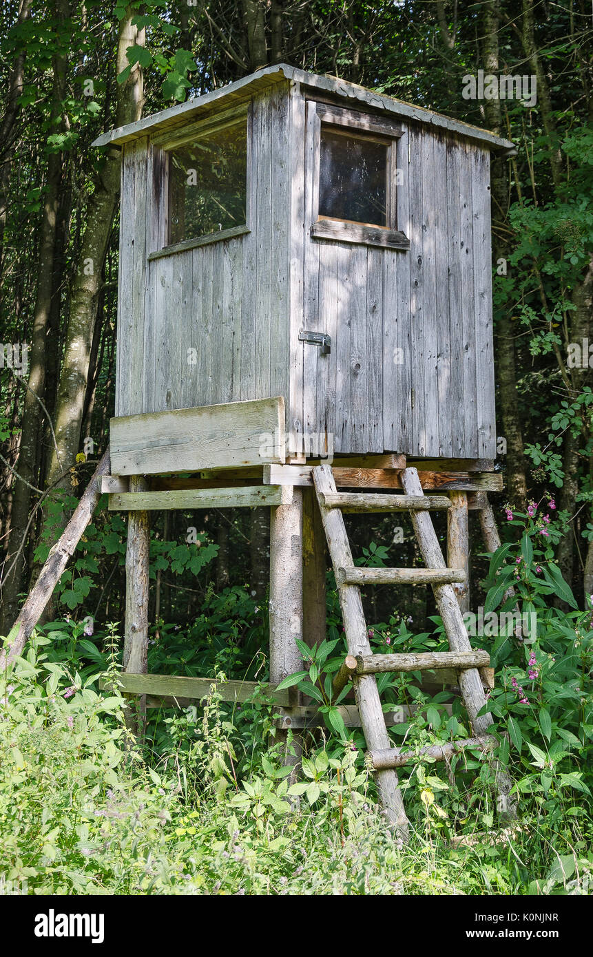 Wooden deer stand in a forest, vertical view. Box stand ...