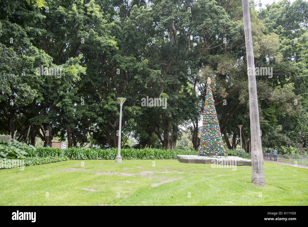 100 christmas tree delivery sydney the most over 100 christmas tree delivery sydney the most over