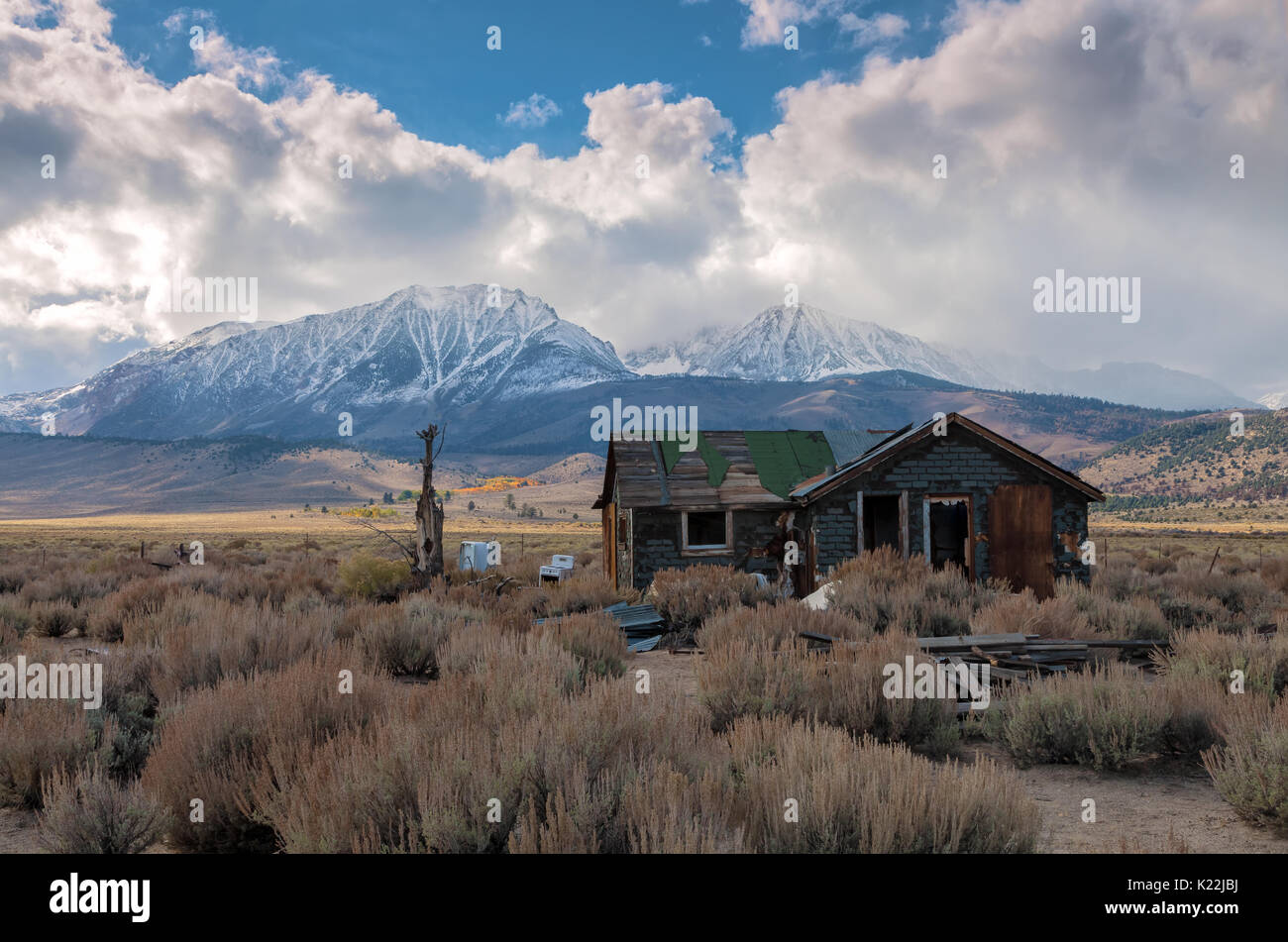 A lone  abandon house among the sagebrush on the Mono Basin and the approaching early winter storm, Eastern Sierra Stock Photo