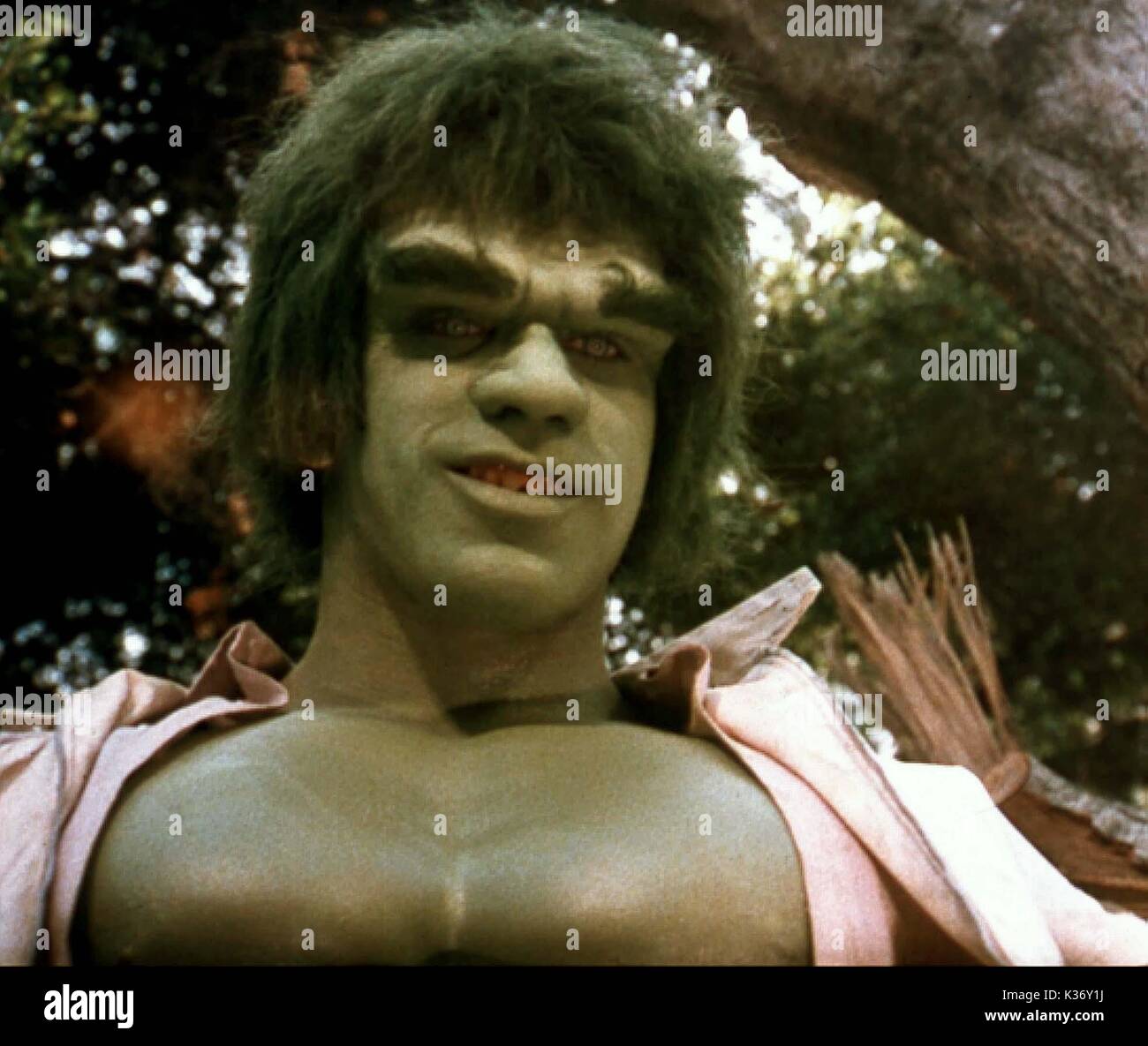 THE INCREDIBLE HULK LOU FERRIGNO as the Hulk THE INCREDIBLE HULK Stock