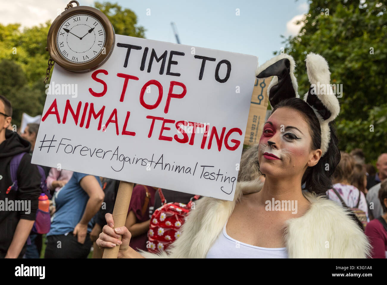 animal rights movement 11 1 origins of the animal rights movement non-violence leads to the highest ethics, which is the goal of all evolution until we stop harming all other. animal rights movement 11 1 origins of the animal rights movement non-violence leads to the highest ethics, which is the goal of all evolution until we stop harming all other.