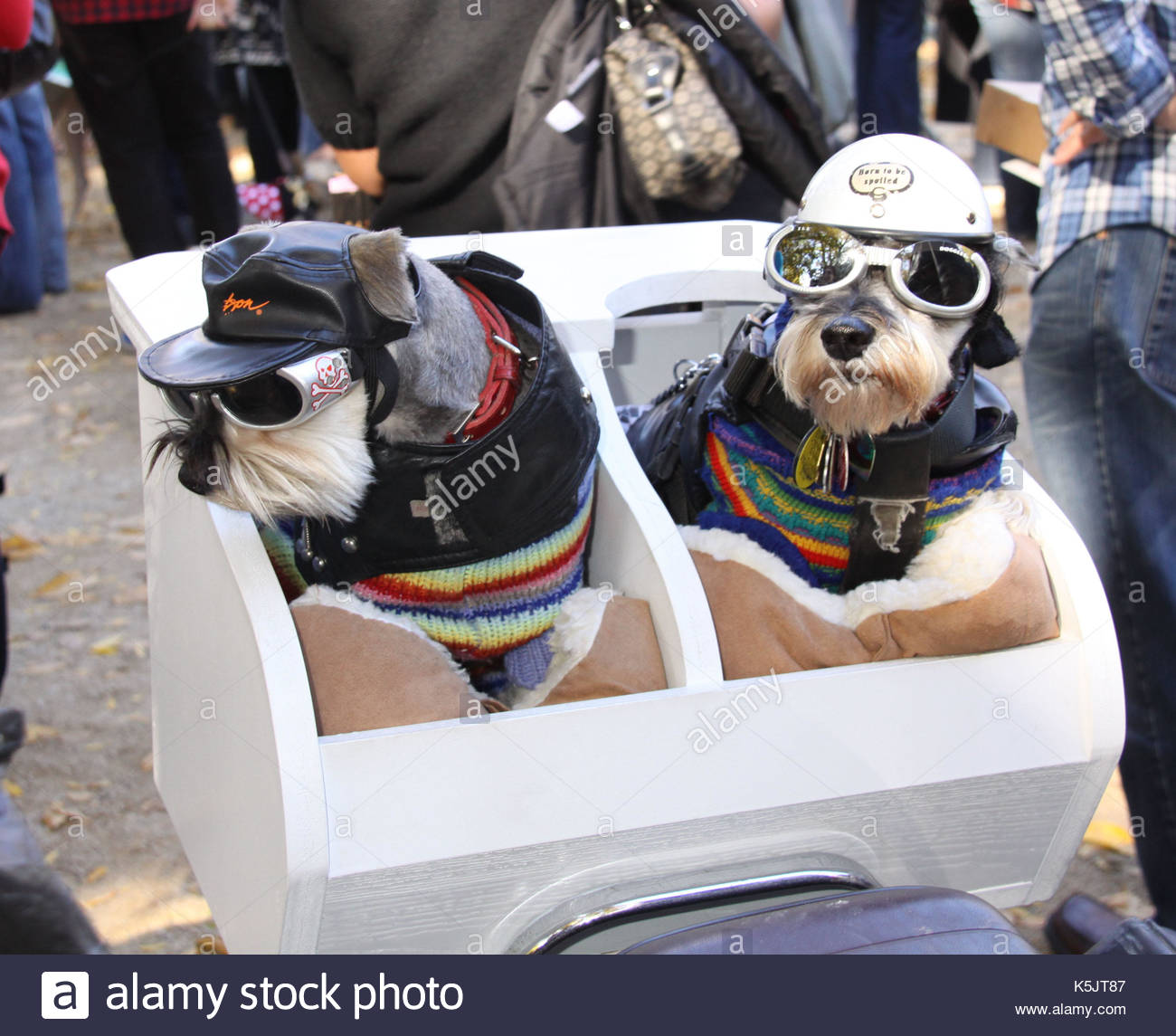 Dog Halloween Parade in NYC. The 19th Annual Dog Halloween Parade was
