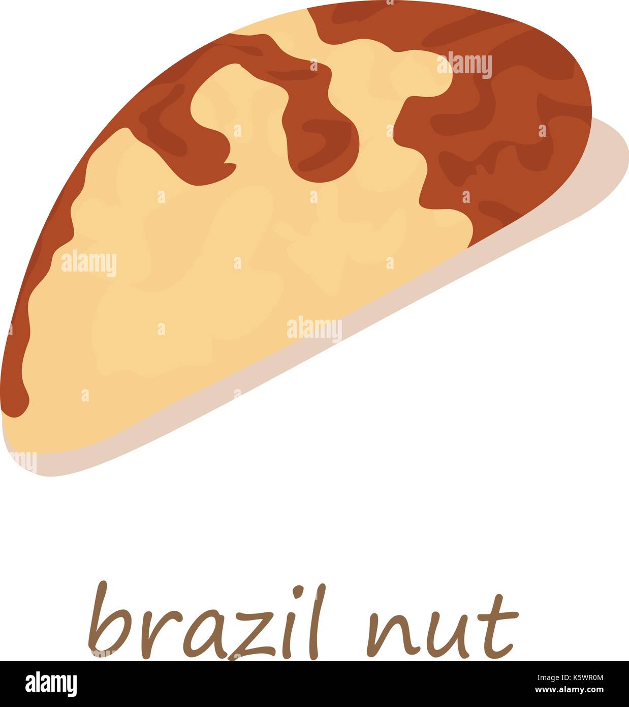 Brazil Nut Icon Isometric D Style Stock Vector Image Art Alamy