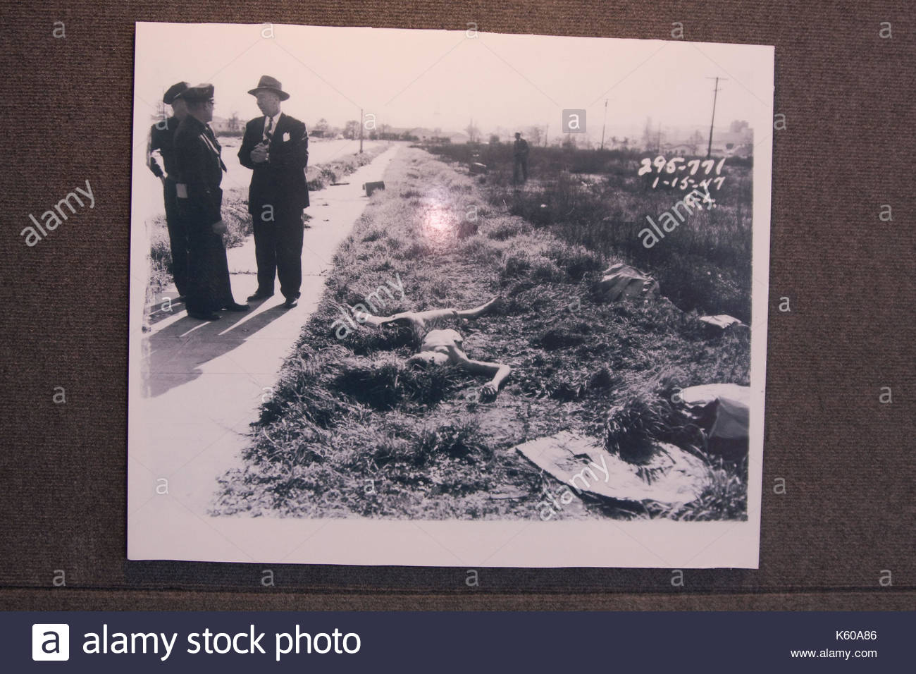 Photo of Elizabeth Short from Black Dahlia exhibit. The LAPD is Stock Photo, Royalty Free Image