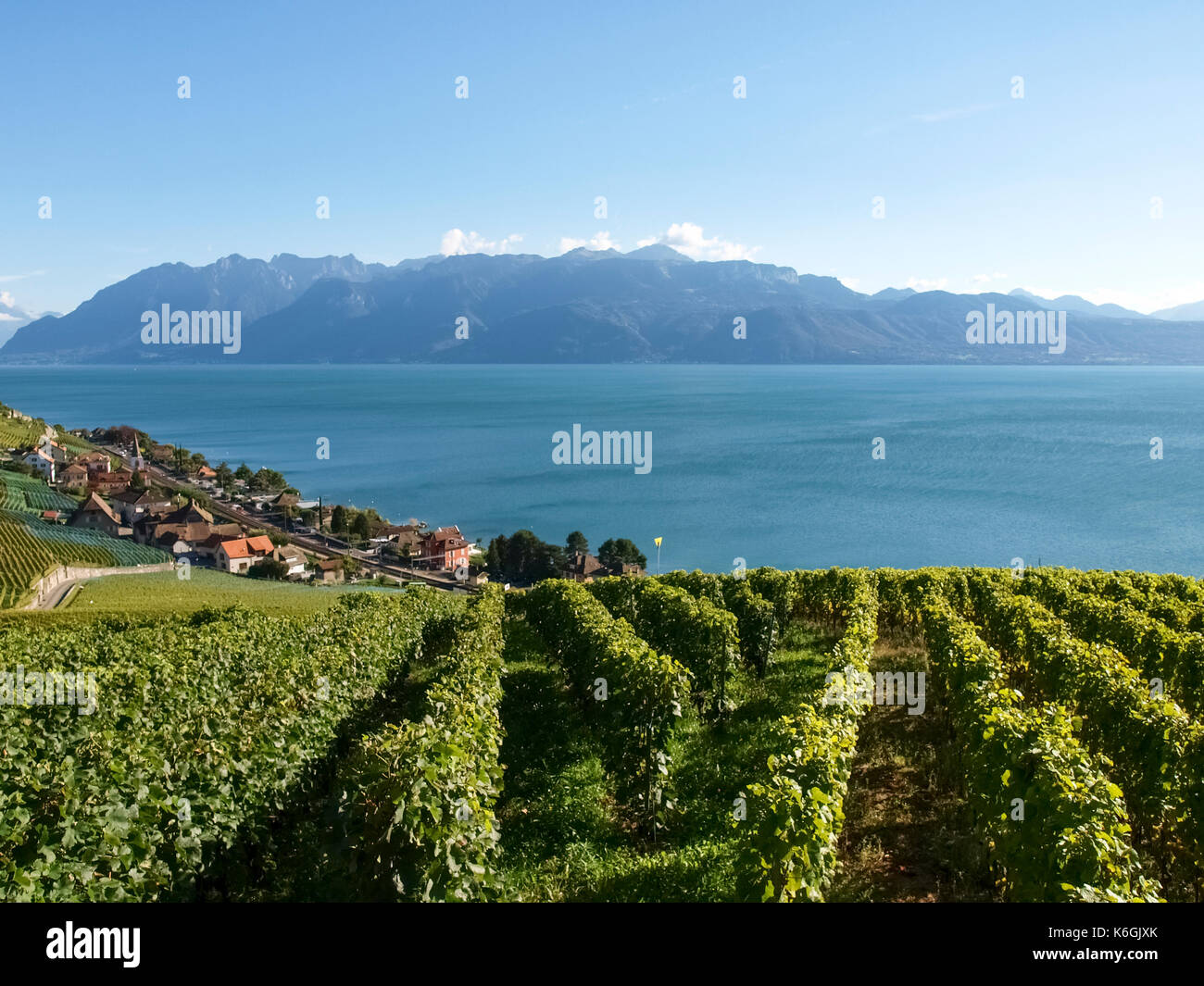 Lavaux Switzerland Landscape Of Lavaux Vineyard Terrace Hiking Trail