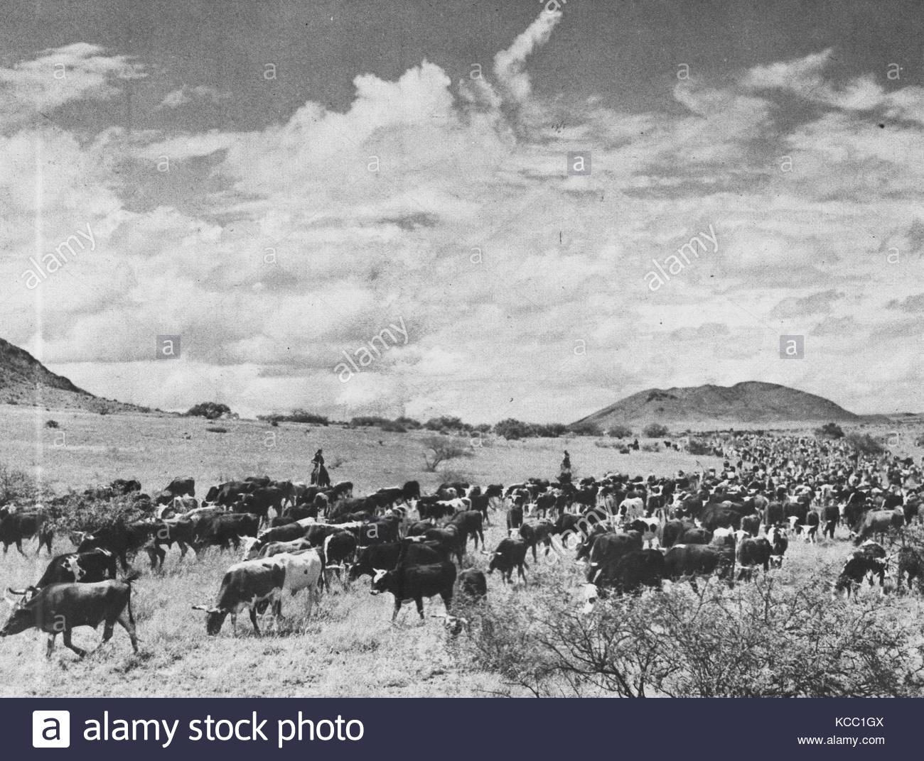 Pioneers 1800s Stock Photos & Pioneers 1800s Stock Images Alamy