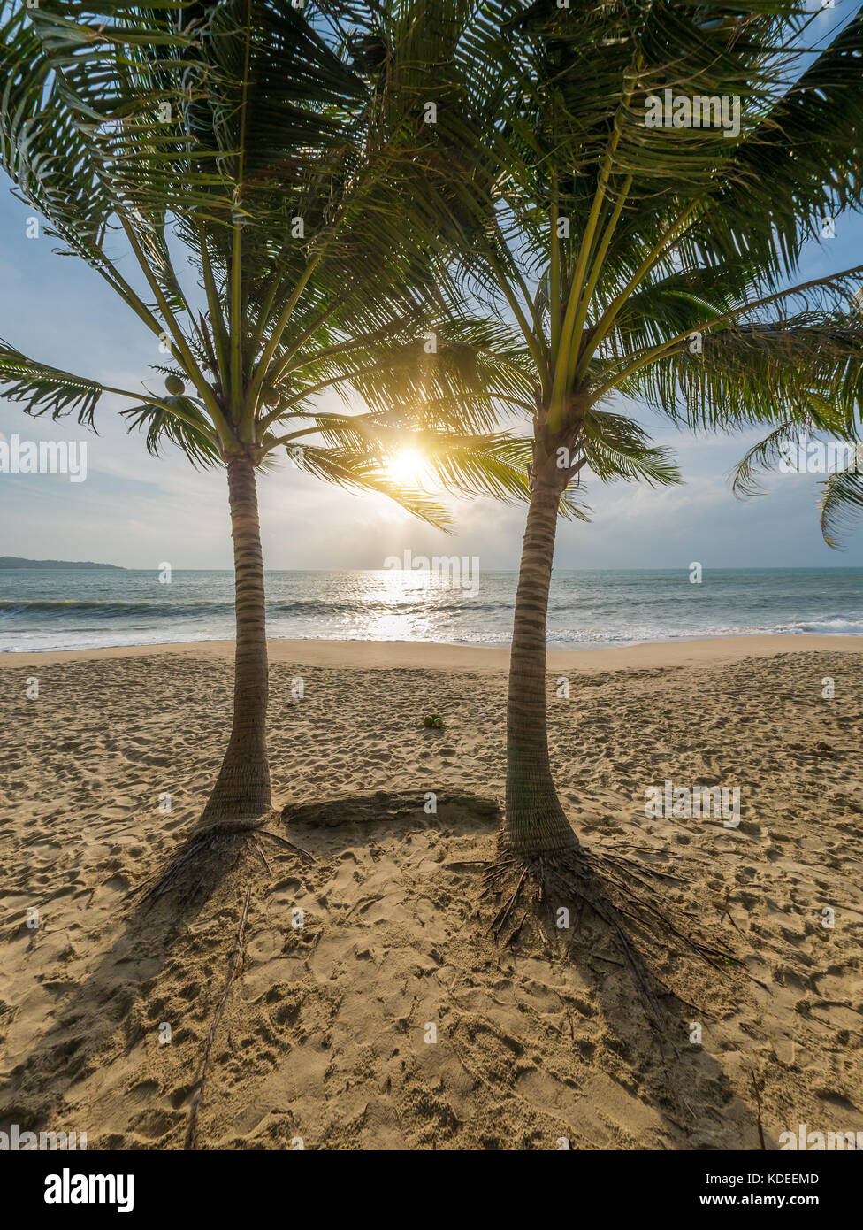 Beautiful Tropical Beach With Coconut Trees Stock Photo Alamy