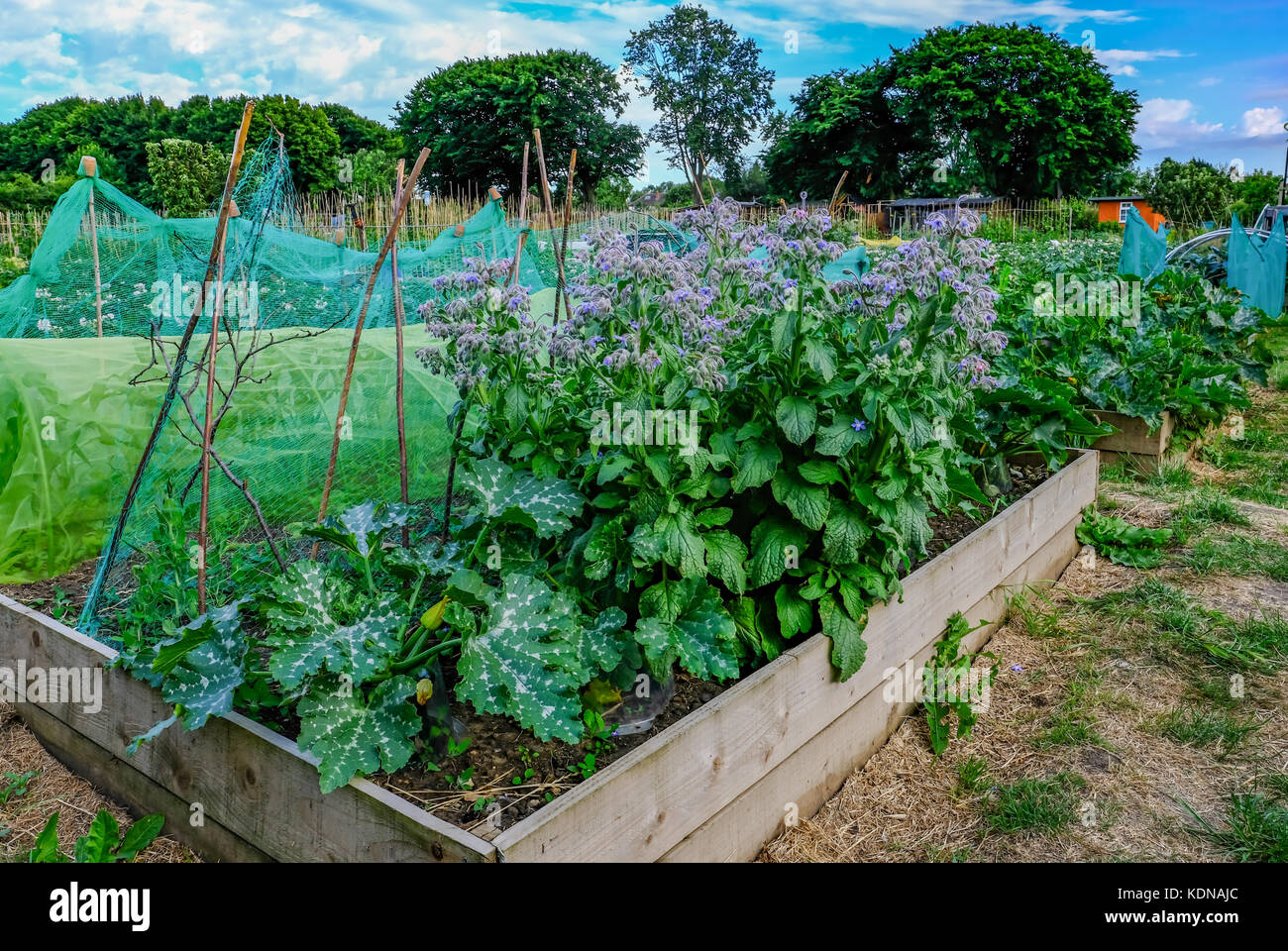 Planter Box Stock Photos & Planter Box Stock Images - Alamy