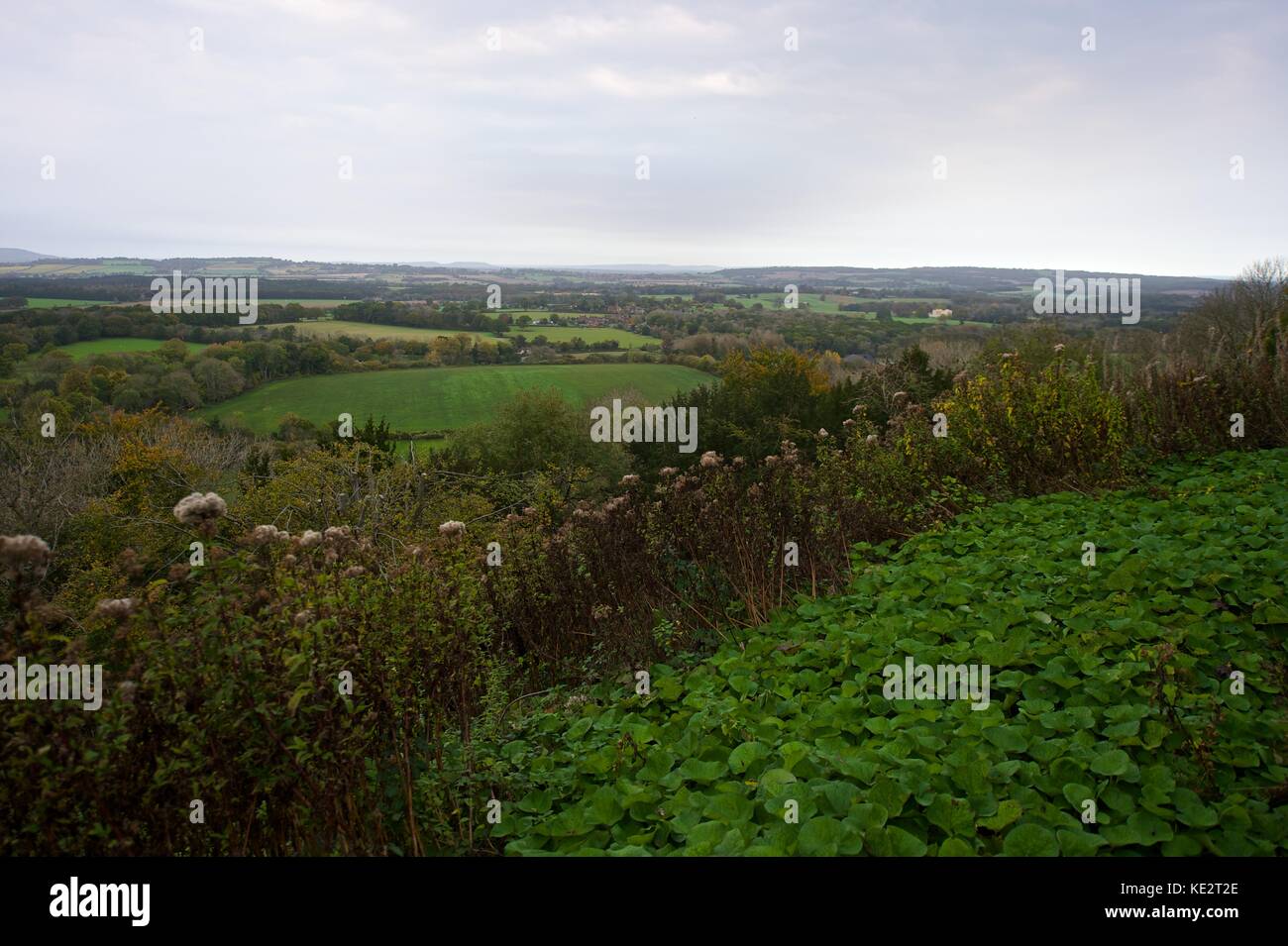 integument stock photos integument stock images alamy chichister stock photos chichister stock images alamy integument stock photos integument stock images alamy chichister stock photos chichister stock images alamy