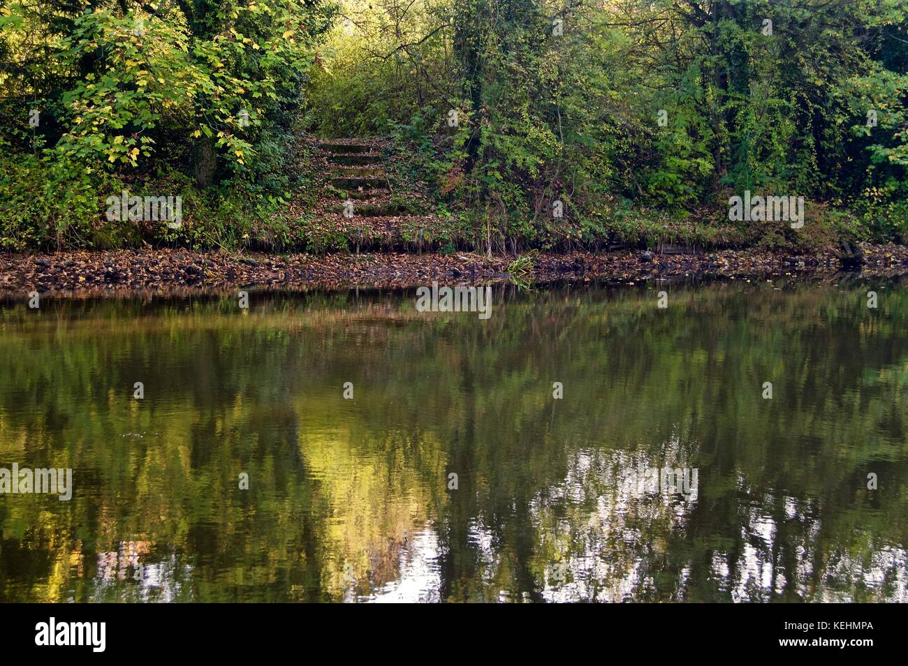 Nursery trees and shrubs meals in english lawn munich