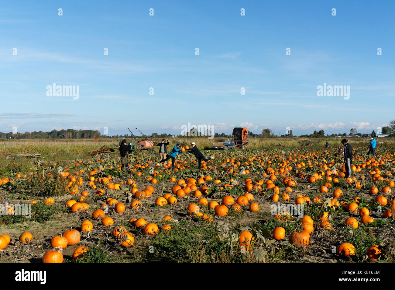 group-of-people-taking-photos-and-having