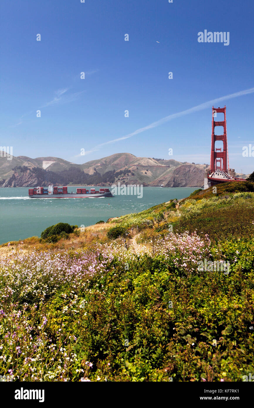 Forex cargo south san francisco