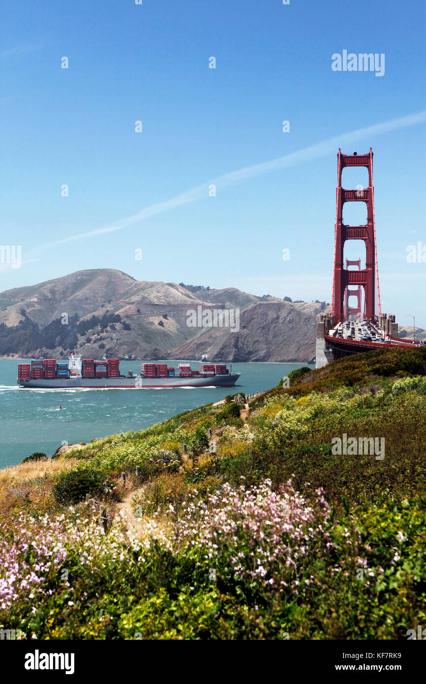 Forex cargo south san francisco