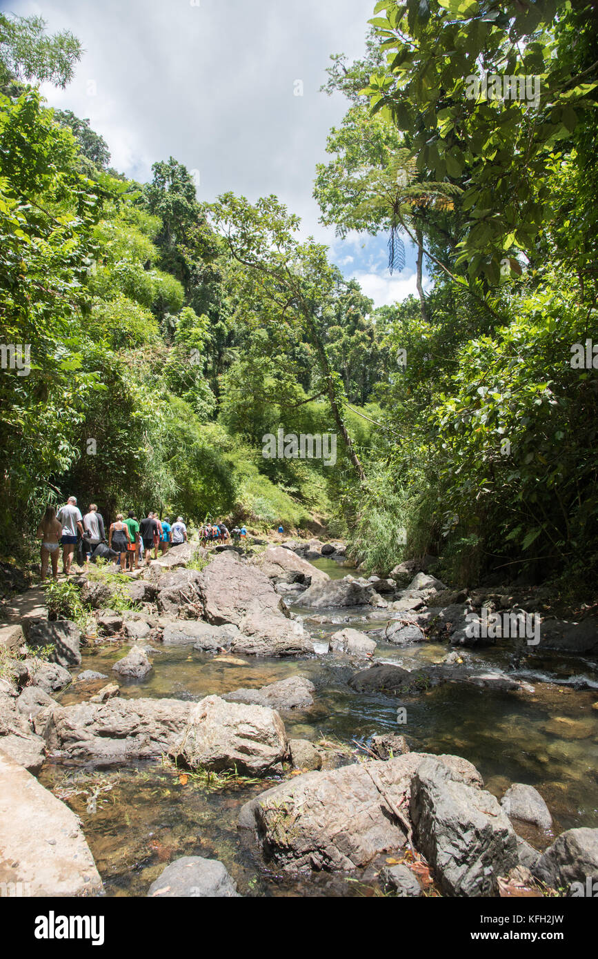 Fiji Rainforest Hi Res Stock Photography And Images Alamy