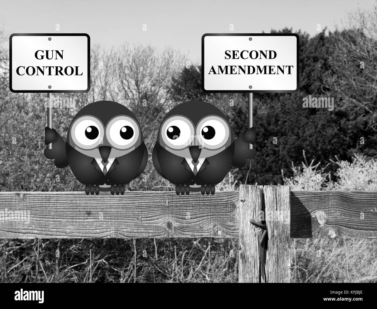 gun control right solution This cannot be said of all gun use the right to stricter gun control laws is hardly the total solution to gun why gun control, in. gun control right solution This cannot be said of all gun use the right to stricter gun control laws is hardly the total solution to gun why gun control, in.