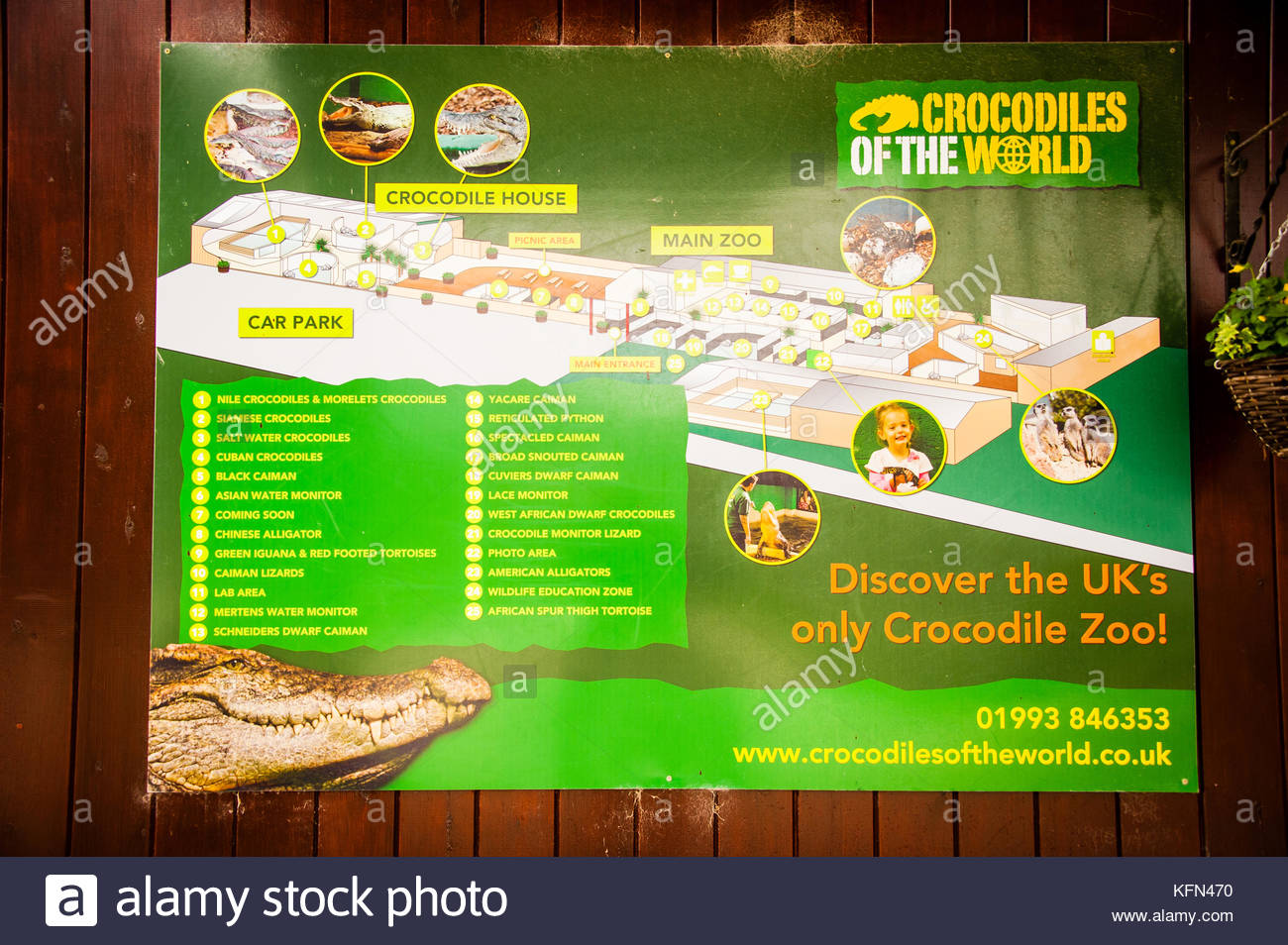 crocodiles of the world entrance the crocodile conservation stock
