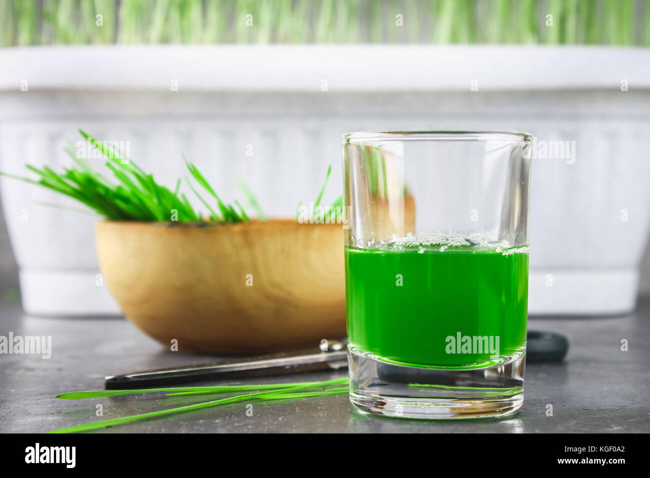 Wheatgrass Shot Juice From Wheat Grass Trend Of Health Stock Photo