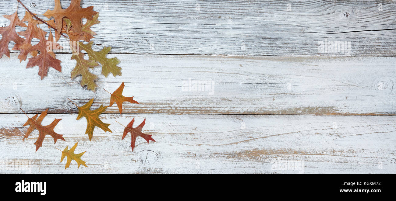 Seasonal Oak Leaf Decorations Falling From Branch On Rustic White Wooden Boards Seasonal Oak Leaf Decorations Falling From Branch On Rustic White Wooden Boards