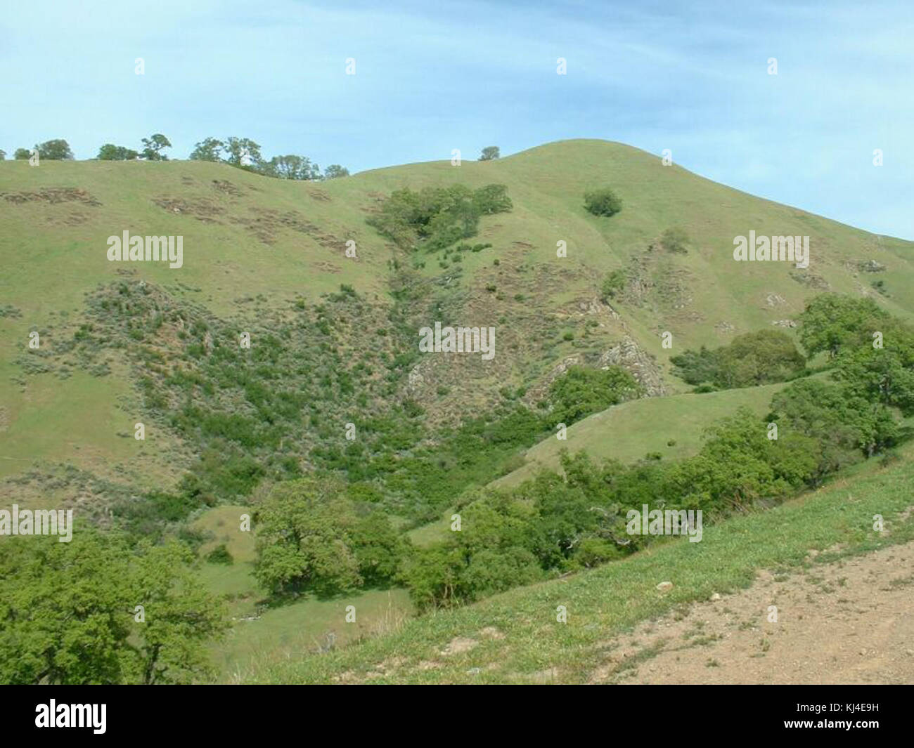 Sunol Regional Wilderness Stock Photos & Sunol Regional Wilderness Stock Images - Alamy Sunol Regional Wilderness Stock Photos & Sunol Regional Wilderness Stock Images - Alamy