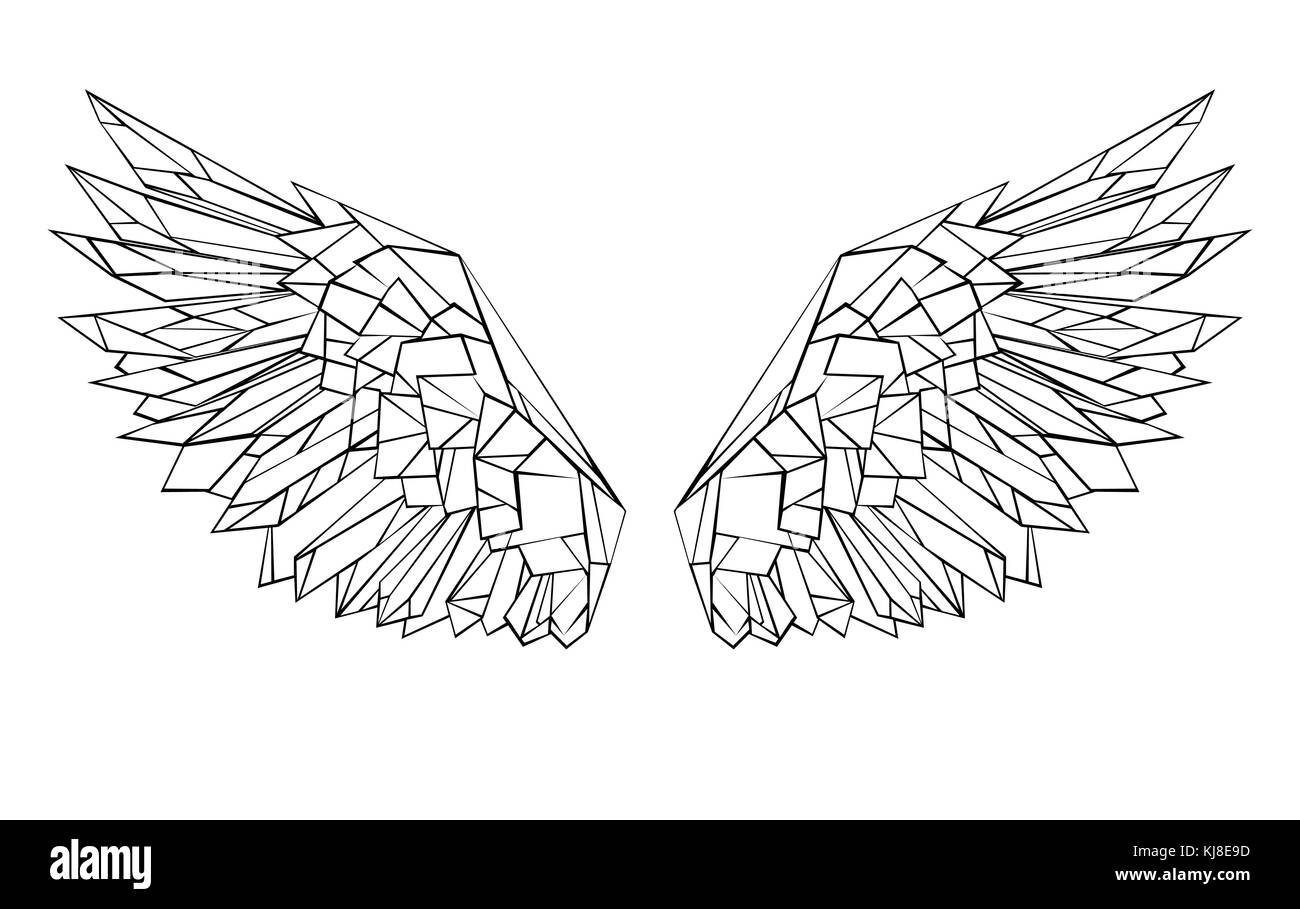 Bird Wings Outline Cut Out Stock Images & Pictures - Alamy