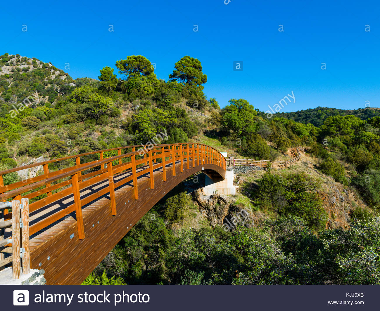Acequia de las Angosturas, Benahavís, Andalusia, Spain, Iberian Stock