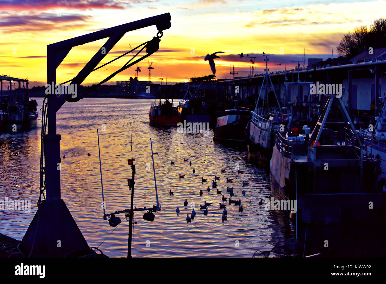north-shields-fish-quay-and-seagulls-feeding-off-the-boats-at-sunset-KJWW92.jpg