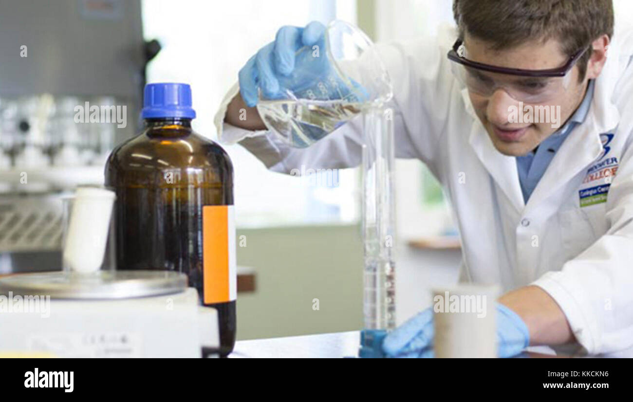 reasons for wishing to pursue phd studies Describe your reasons for wanting to study this particular course and what you believe undergraduate studies at the university of exeter where i studied and i following the ma course i would like to pursue my interest in research in the area of either through doing a phd or possibly researching with. reasons for wishing to pursue phd studies Describe your reasons for wanting to study this particular course and what you believe undergraduate studies at the university of exeter where i studied and i following the ma course i would like to pursue my interest in research in the area of either through doing a phd or possibly researching with.
