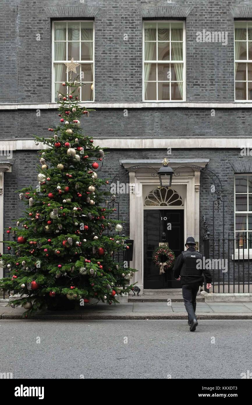 18ft 6 Nord Fur Christmas Tree Outside Number 10 Downing Street Provided By Robert Morgan Of Gower Fresh Trees In Swansea 18ft 6 Nord Fur Christmas Tree Outside Number 10 Downing Street Provided By Robert Morgan Of Gower Fresh Trees In Swansea
