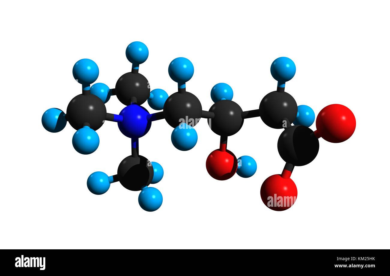 The L carnitine sperm twice
