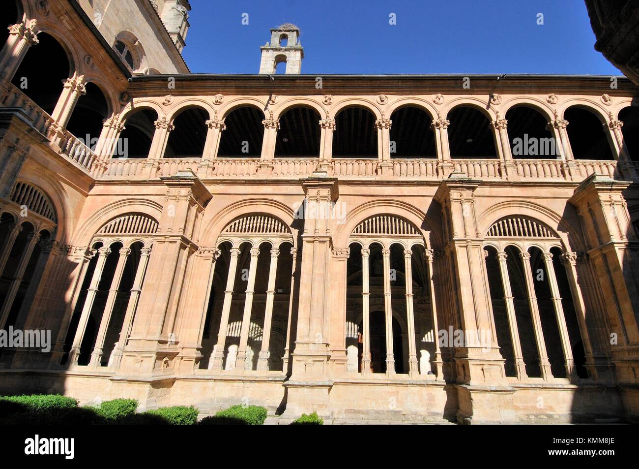 council of trent Posts about council of trent written by entirelyuseless. council of trent Posts about council of trent written by entirelyuseless.
