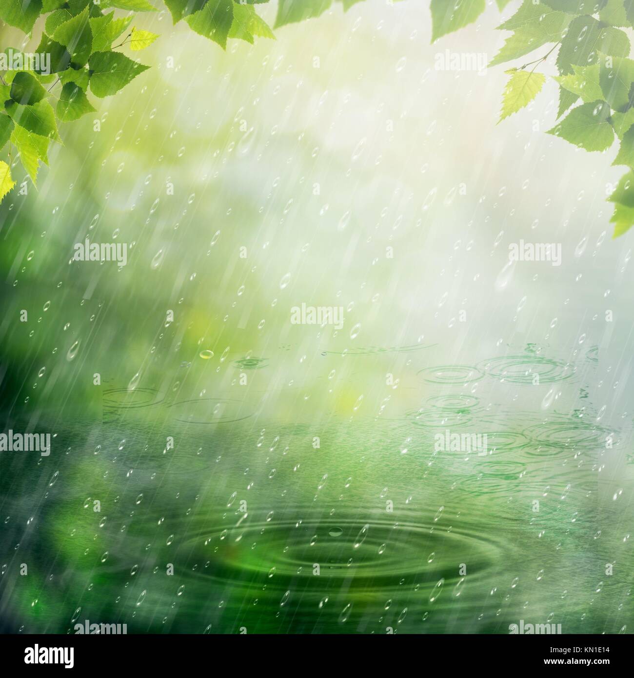 summer rain harry wood Primarkcom supports the most recent internet browsers including chrome, firefox and safari please ensure you have downloaded the latest version to get the best. summer rain harry wood Primarkcom supports the most recent internet browsers including chrome, firefox and safari please ensure you have downloaded the latest version to get the best.