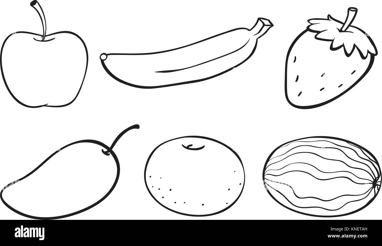 Illustration Of A Sketch Of Various Fruits On A White Background Stock