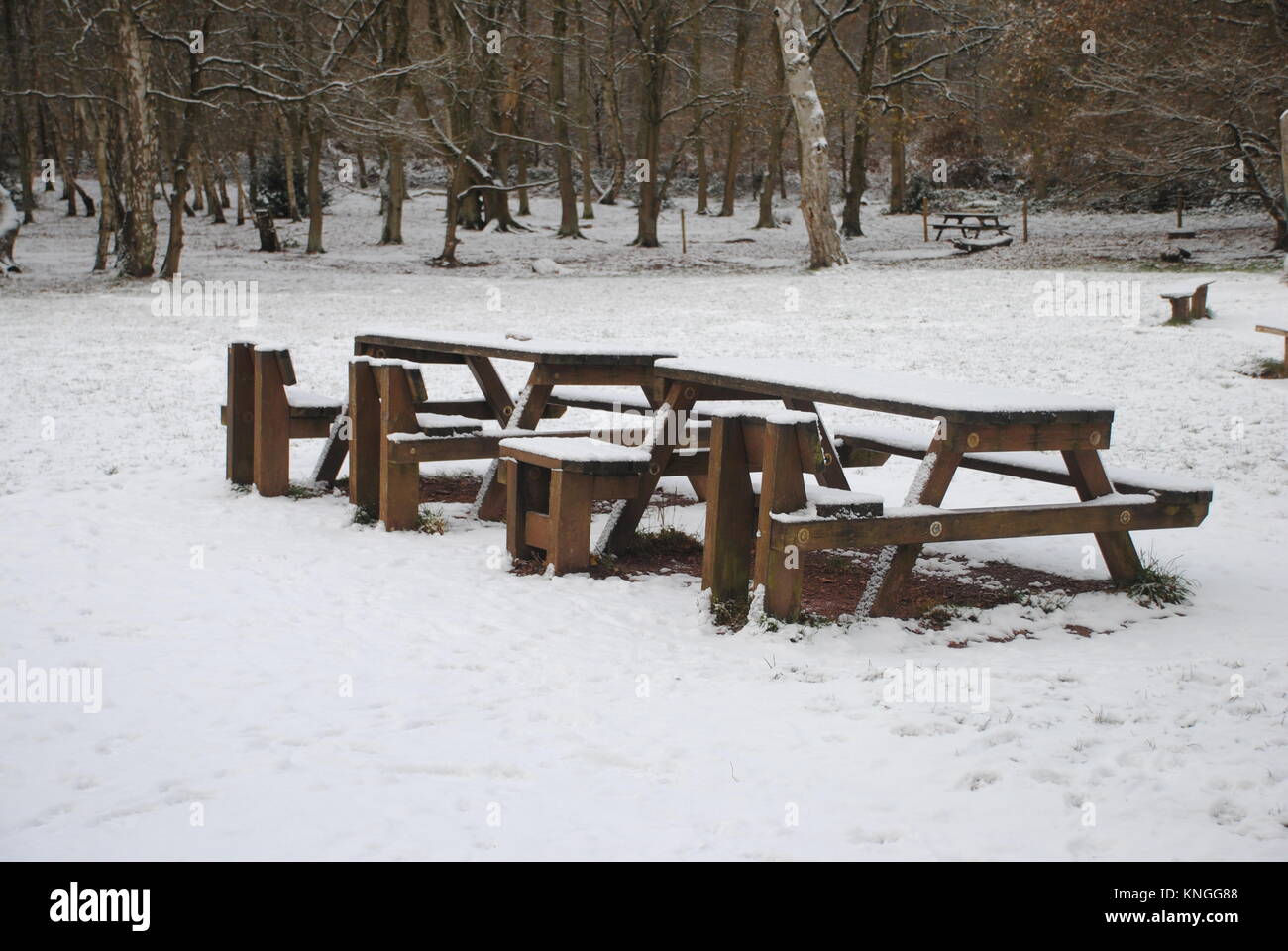 Winter Picnic Empty Picnic Tables In Sherwood Forest The Home Of