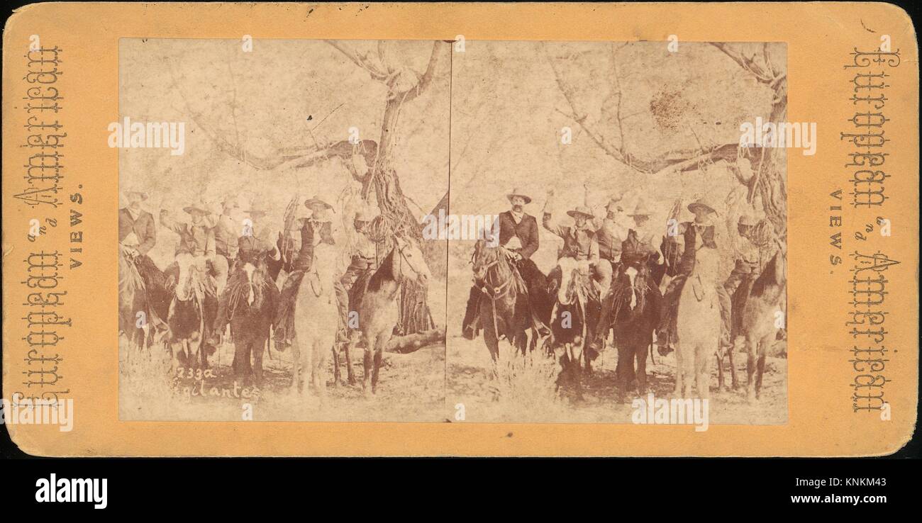 American european group American european group
