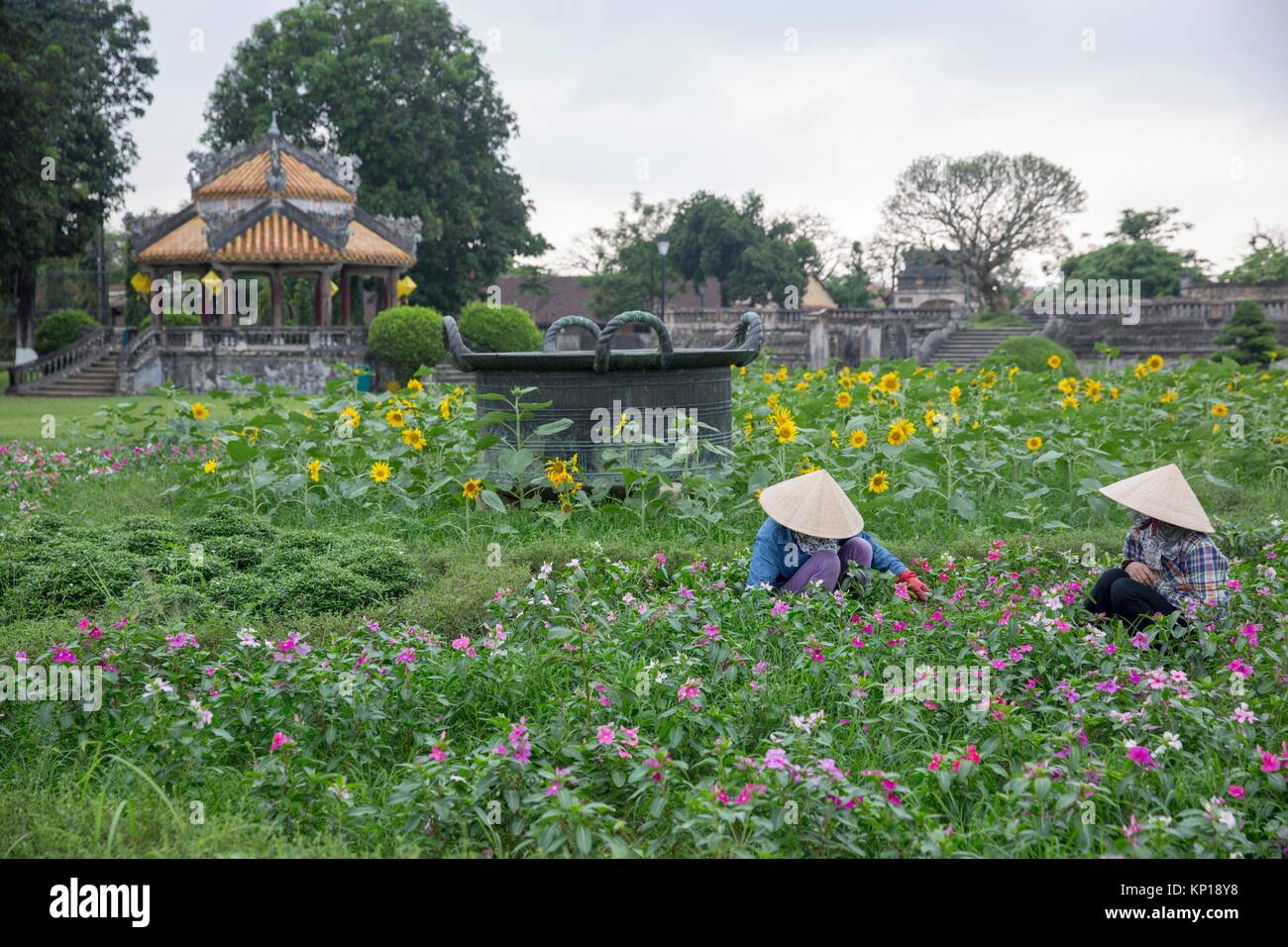 workers in a flower garden hu imperial city vietnamese hat hue hu imperial city vietnam - Vietnamese Garden workers in a flower garden hu imperial city vietnamese hat hue hu imperial city vietnam - Vietnamese Garden