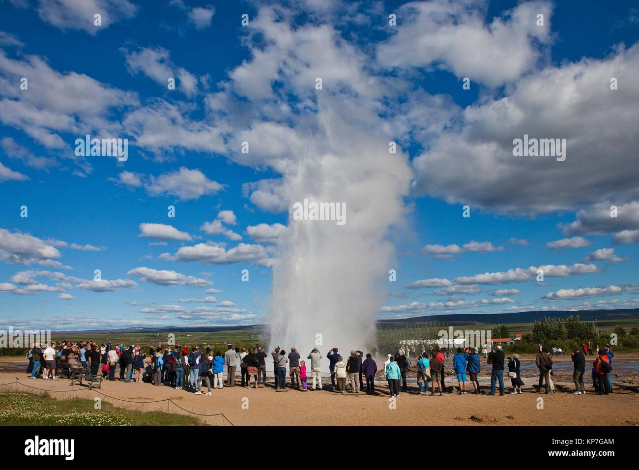 You tried? Watching the geyser confirm. agree Sorry, Watching the geyser